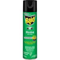 Insecticide pour insectes domestiques Raid, 350 g, &agrave; base de solvant Air Extreme Inc.