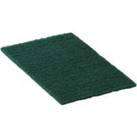 Tampons &agrave; r&eacute;curer &agrave; usage moyen 90-96, 9" lo x 6" la Air Extreme Inc.