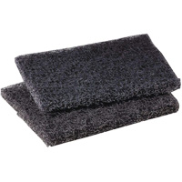 Scotch-Brite Griddle Polishing Pad, 4" L x 5" W Air Extreme Inc.