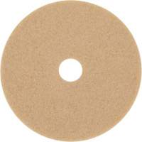 Trizact Diamond TZ Abrasive Strip, 20", Burnishing, Beige Air Extreme Inc.