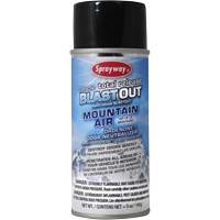 Assainisseur d'air pour l'automobile