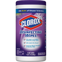 Disinfecting Wipes, 75 Count Air Extreme Inc.