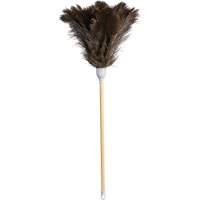 Plumeau de qualit&eacute; sup&eacute;rieure, Plume d'autruche Air Extreme Inc.