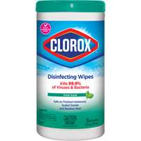 Disinfecting Wipes, 75 Count Air Extreme Inc.