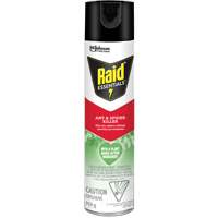 Insecticide pour araign&eacute;es et fourmis Essentials Raid, 350 g, Canette a&eacute;rosol Air Extreme Inc.