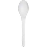 Plantware Renewable and Compostable Spoon Air Extreme Inc.