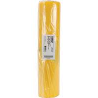 Hazardous Waste Liners, Asbestos, 40" L x 26" W, 3 mils Air Extreme Inc.