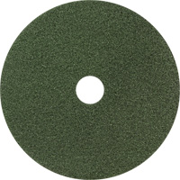 Tapis de sol Black Diamond 3000, 8", Nettoyage/Polissage, Vert Air Extreme Inc.