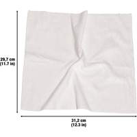 Chiffons lavables pour le nettoyage, Microfibre, Blanc Air Extreme Inc.
