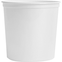 Food Storage Container, Plastic, 2 L Capacity, White Air Extreme Inc.