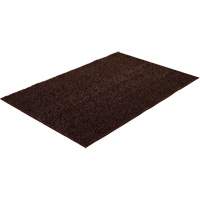 Astro-Turf Scraper Mat Air Extreme Inc.