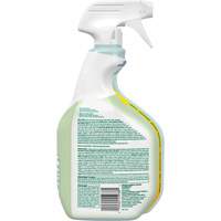 Nettoyant d&eacute;sinfectant CloroxPro Clorox EcoClean, 946 ml, Bouteille &agrave; g&acirc;chette Air Extreme Inc.