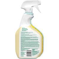 Nettoyant tout usage CloroxPro Clorox EcoClean, 946 ml, Bouteille &agrave; g&acirc;chette Air Extreme Inc.