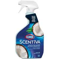 Vaporisateur nettoyant d&eacute;sinfectant multi-surfaces, 709 ml, Bouteille &agrave; g&acirc;chette Air Extreme Inc.