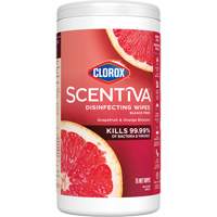 Lingettes d&eacute;sinfectantes, 75 lingettes Air Extreme Inc.