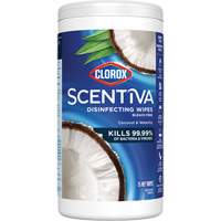 Lingettes d&eacute;sinfectantes, 75 lingettes Air Extreme Inc.