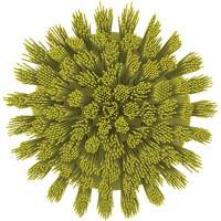 HyDrive Round Drill Brush, Extra Stiff Bristles, 3-1/10" Long, Yellow Air Extreme Inc.