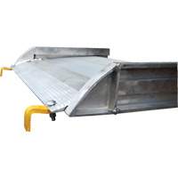Aluminum Walk Ramp, 1000 lbs. Capacity, 38" W x 193-1/8" L Air Extreme Inc.