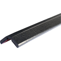 W Profile 1M Edge Protection Bumper Guard, 3.25' (0.99 m) Long Air Extreme Inc.