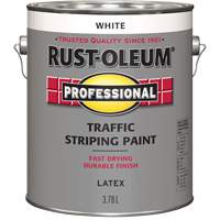 Peinture pour traçage de lignes de circulation, Blanc, 3,78 L, Cruche Air Extreme Inc.