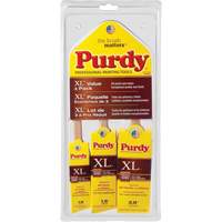 XL Paint Brush Multi-Pack, Poly/Nylon, Wood Handle Air Extreme Inc.
