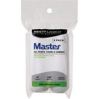 Mini couvre-rouleau en mousse Master Air Extreme Inc.