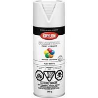 Appr&ecirc;t + peinture COLORmaxx, Blanc, Tr&egrave;s mat, 12 oz, Canette a&eacute;rosol Air Extreme Inc.