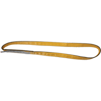 &eacute;lingues de levage en polyester, Pli Simple, Sans fin, Type 5, 1" la x 3' lo, Capacit&eacute; verticale 3200 lb Air Extreme Inc.