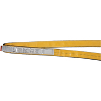 &eacute;lingues de levage en polyester, Pli Simple, Sans fin, Type 5, 1" la x 3' lo, Capacit&eacute; verticale 3200 lb Air Extreme Inc.