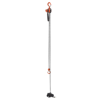 Mini Lever Hoist, 15' Lift, 500 lbs. (0.25 tons) Capacity, Steel Chain Air Extreme Inc.