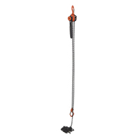 Mini Lever Hoist, 15' Lift, 1000 lbs. (0.5 tons) Capacity, Steel Chain Air Extreme Inc.