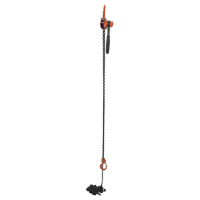 Mini Lever Hoist, 20' Lift, 1000 lbs. (0.5 tons) Capacity, Steel Chain Air Extreme Inc.
