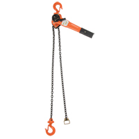 Lever Chain Hoist, 10' Lift, 1000 lbs. (0.5 tons) Capacity, Alloy Steel Chain Air Extreme Inc.