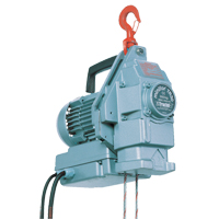Electric Wire Rope Hoists