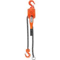 Lever Hoist, 10' Lift, 1500 lbs. (0.75 tons) Capacity, Alloy Steel Chain Air Extreme Inc.