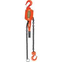 Lever Hoist, 10' Lift, 1500 lbs. (0.75 tons) Capacity, Alloy Steel Chain Air Extreme Inc.