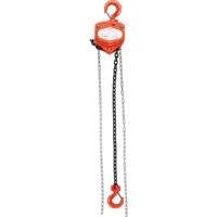 Chain Hoist, 20' Lift, 1000 lbs. (0.45 tons) Capacity, Alloy Steel Chain Air Extreme Inc.