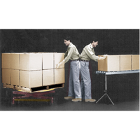Spring-Operated Pallet Lifters - Pallet Pal&reg;, 43-5/8" L x 43-5/8" W, 4500 lbs. Cap. Air Extreme Inc.