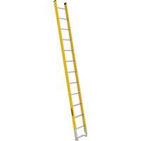 Single Section Straight Ladder - 6100 Series, 12', Fibreglass, 375 lbs., CSA Grade 1AA Air Extreme Inc.