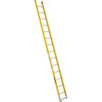 Single Section Straight Ladder - 6100 Series, 14', Fibreglass, 375 lbs., CSA Grade 1AA Air Extreme Inc.