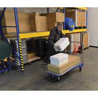 Platform Cart, 48" L x 24" W, 1500 lbs. Capacity, Mold-on Rubber Casters Air Extreme Inc.