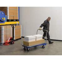 Platform Cart, 48" L x 24" W, 1500 lbs. Capacity, Mold-on Rubber Casters Air Extreme Inc.
