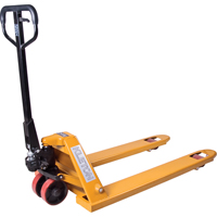 Manual Pallet Truck, Steel, 42" L x 20.5" W, 5500 lbs. Capacity Air Extreme Inc.