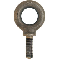 Metric Eyebolt, 51 mm Dia., 70 mm L, 11400 lbs. (5.7 tons) Capacity Air Extreme Inc.