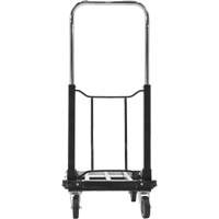 Fold-Up Platform Truck, Stainless Steel, 300 lbs., 28" L x 16" W, 33-1/2" High Air Extreme Inc.