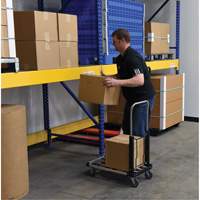 Fold-Up Platform Truck, Stainless Steel, 300 lbs., 28" L x 16" W, 33-1/2" High Air Extreme Inc.