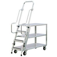 Aluminum Stock Picking Ladder Cart, Aluminum, 22" W x 51-1/2" D, 3 Shelves, 800 lbs. Capacity Air Extreme Inc.