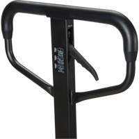 Quick-Lift Manual Pallet Truck, Steel, 48" L x 20.5" W, 5500 lbs. Capacity Air Extreme Inc.