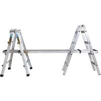 Telescoping Multi-Position Ladder, Aluminum, 300 lbs., CSA Grade 1A Air Extreme Inc.