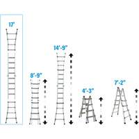 Telescoping Multi-Position Ladder, Aluminum, 300 lbs., CSA Grade 1A Air Extreme Inc.
